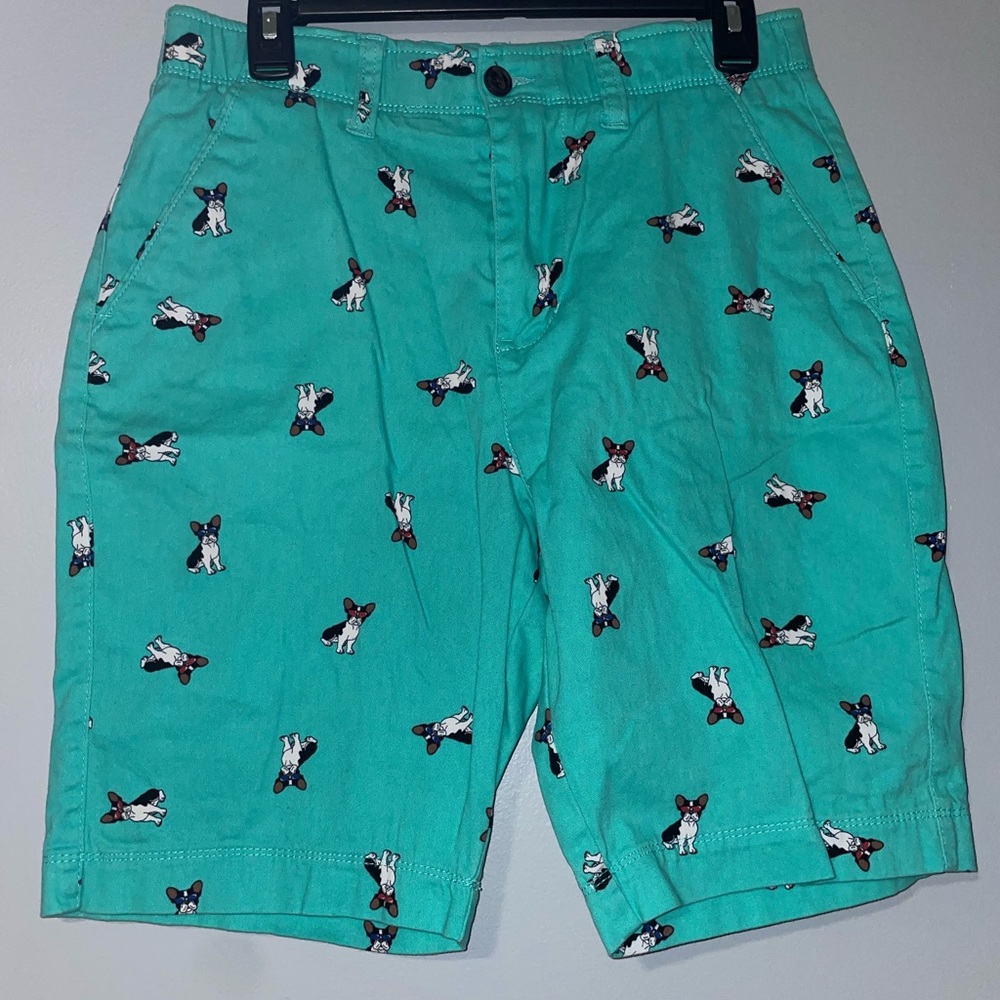 🐾Men's Teal Dog Print Shorts